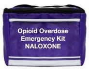 Naloxone Insulated Box Tote